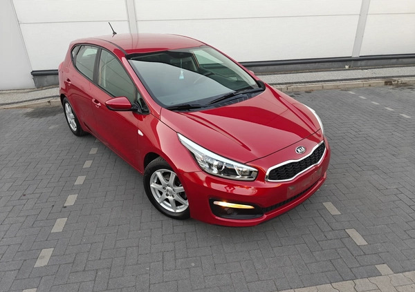 Kia Ceed cena 38900 przebieg: 156500, rok produkcji 2016 z Mieszkowice małe 631